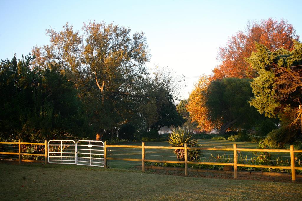 Sneezewood Farm Bed&Breakfast And Self-Catering Cottage Dundee Extérieur photo